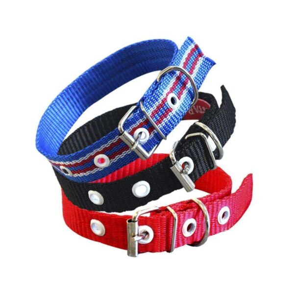 Coleira para Cão em Nylon 06-52cm - Conforto e Se