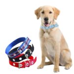 Coleira para Cão em Nylon 04-43cm - Conforto e Es - Imagem 2
